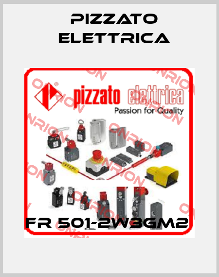 FR 501-2W3GM2  Pizzato Elettrica
