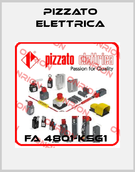FA 4801-KSG1  Pizzato Elettrica