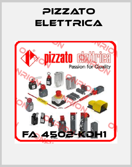 FA 4502-KDH1  Pizzato Elettrica