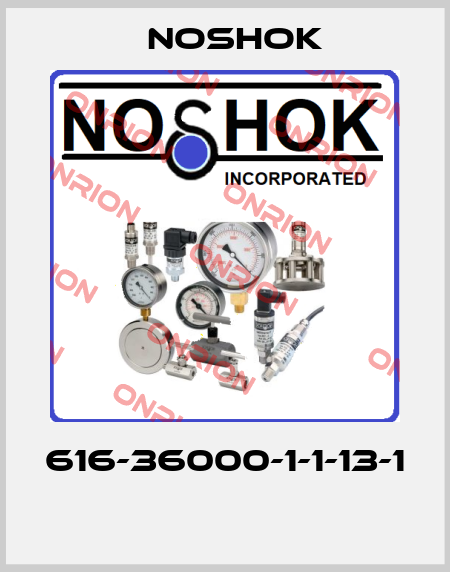 616-36000-1-1-13-1  Noshok