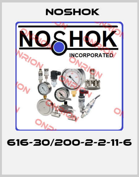 616-30/200-2-2-11-6  Noshok