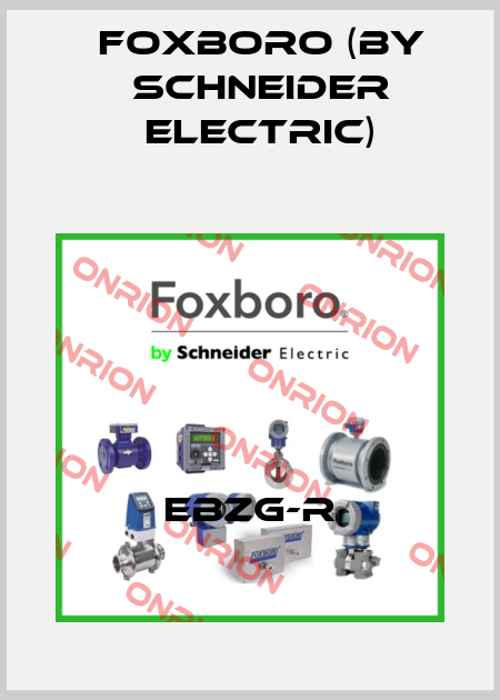 EBZG-R Foxboro (by Schneider Electric)