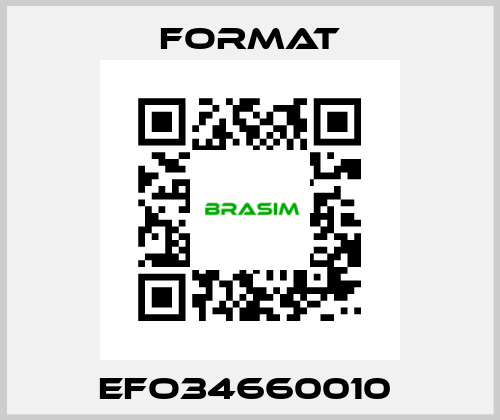 EFO34660010  Format