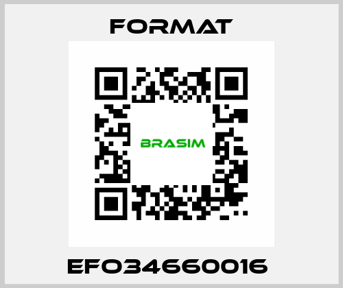 EFO34660016  Format