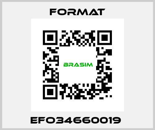 EFO34660019  Format