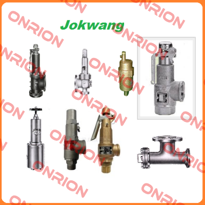 FF100-C-3/4"D1"-A11-212-CN2 12BARG  Jokwang