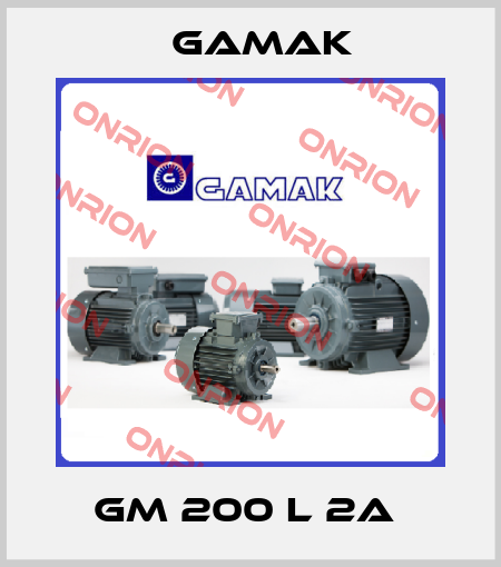 GM 200 L 2A  Gamak