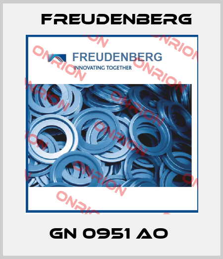 GN 0951 AO  Freudenberg