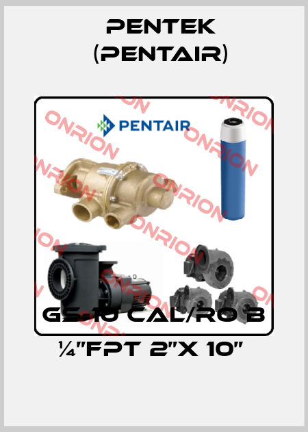 GS-10 CAL/RO B ¼”FPT 2”X 10”  Pentek (Pentair)