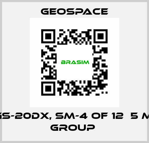 GS-20DX, SM-4 OF 12Х5 M, GROUP  GeoSpace