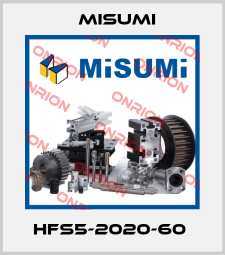 HFS5-2020-60  Misumi