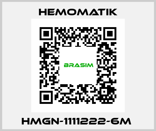 HMGN-1111222-6M  Hemomatik