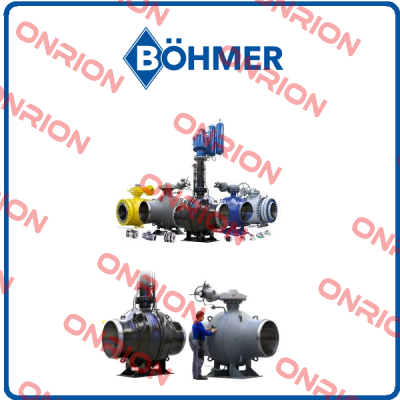 BHG V 315.720-1 DN 020 PN 315  (008.0844)  Böhmer