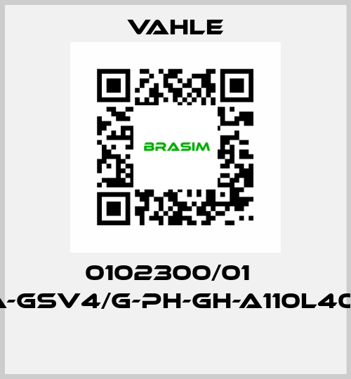 0102300/01    SA-GSV4/G-PH-GH-A110L40-16  Vahle