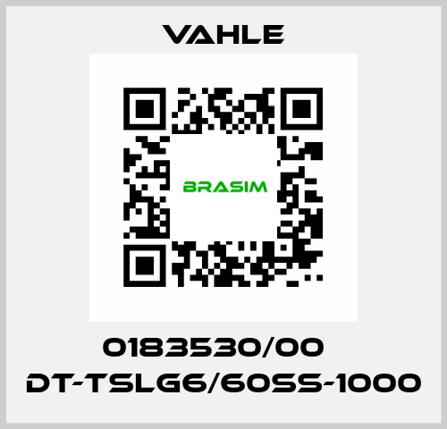 0183530/00    DT-TSLG6/60SS-1000  Vahle