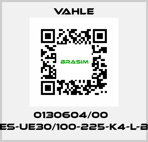 0130604/00    ES-UE30/100-225-K4-L-B  Vahle