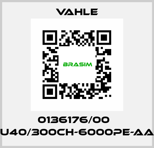 0136176/00    U40/300CH-6000PE-AA  Vahle