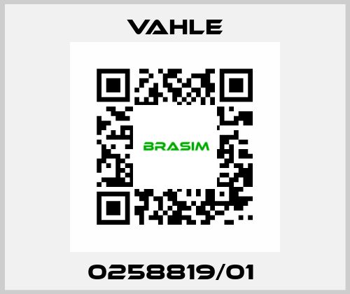 0258819/01  Vahle