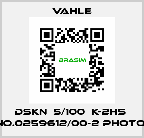 DSKN  5/100  K-2HS  NO.0259612/00-2 photo  Vahle