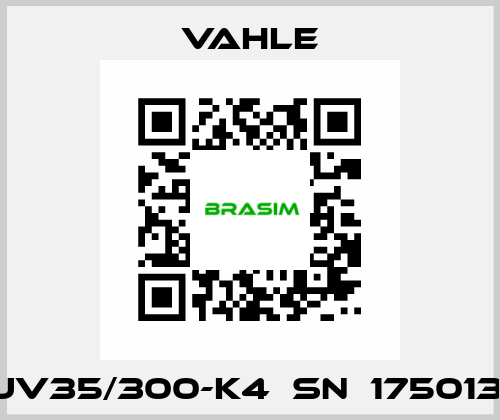 UV35/300-K4  SN  175013  Vahle