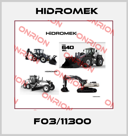 F03/11300  Hidromek