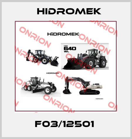 F03/12501  Hidromek