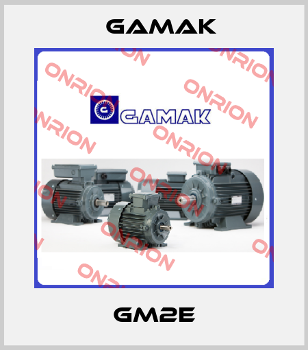 GM2E Gamak