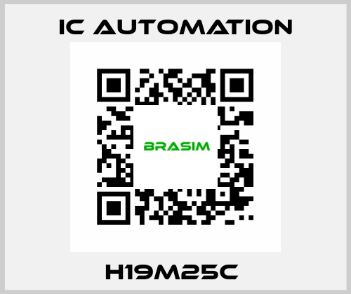 H19M25C  ic automation