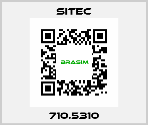 710.5310 SITEC