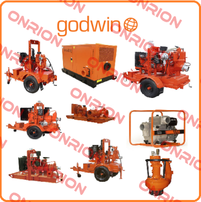 3810715613 Godwin Pumps