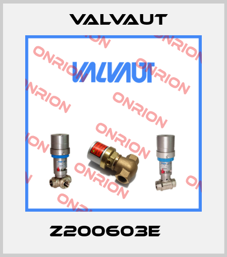  Z200603E    Valvaut