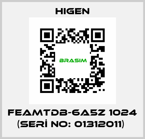 FEAMTDB-6A5Z 1024 (SERİ NO: 01312011)  Higen