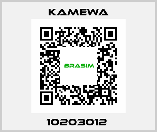10203012  Kamewa