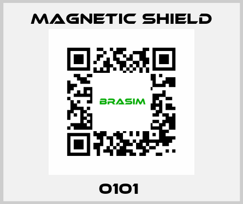 0101  Magnetic Shield