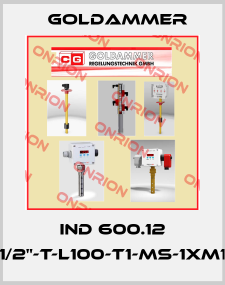 IND 600.12 (G1/2"-T-L100-T1-MS-1xM12) Goldammer