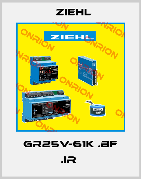  GR25V-61K .BF .IR  Ziehl