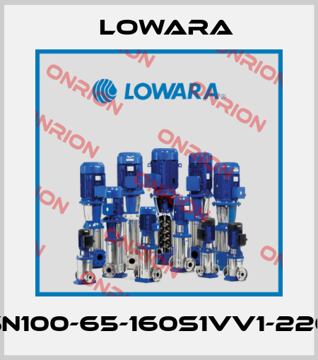 LSN100-65-160S1VV1-2202 Lowara