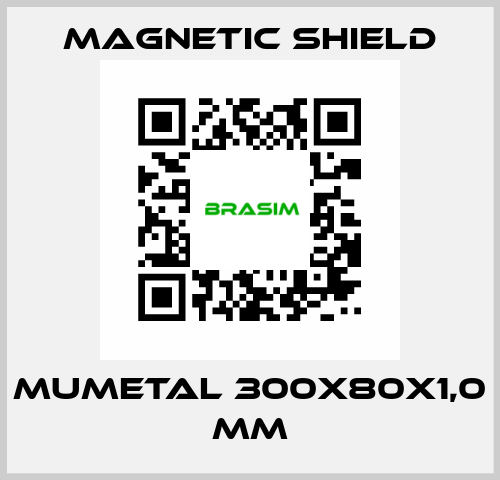 MuMETAL 300x80x1,0 mm Magnetic Shield