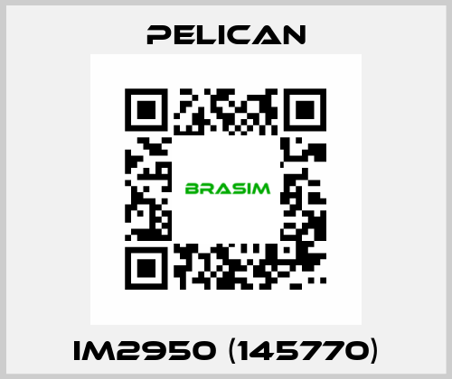 iM2950 (145770) Pelican