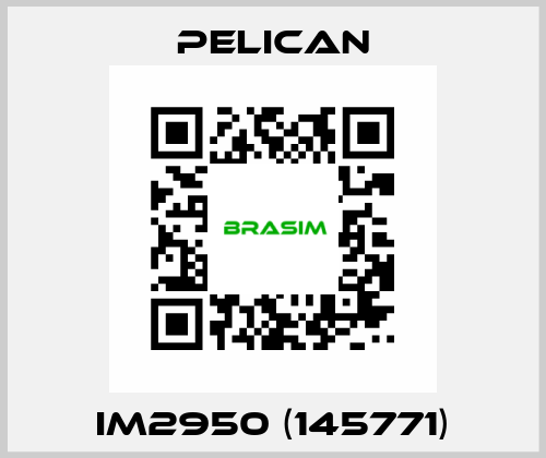 iM2950 (145771) Pelican