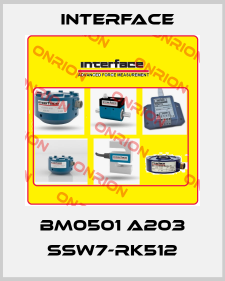 BM0501 A203 SSW7-RK512 Interface