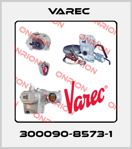 300090-8573-1 Varec