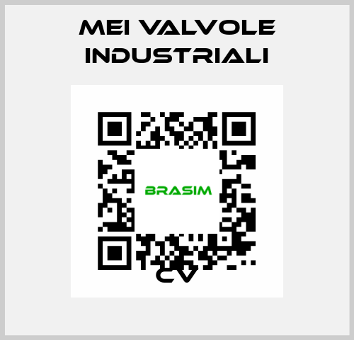 CV MEI VALVOLE INDUSTRIALI