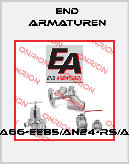 ZA66-EE85/AN24-RS/AX End Armaturen