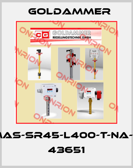 NR85-MAS-SR45-L400-T-NA-FE-1-DIN 43651 Goldammer