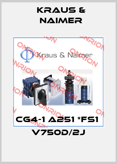 CG4-1 A251 *FS1  V750D/2J-big