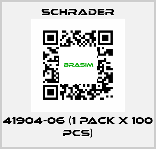 41904-06 (1 pack x 100 pcs) Schrader