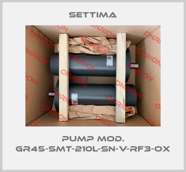 Pump mod. GR45-SMT-210L-SN-V-RF3-OX-big