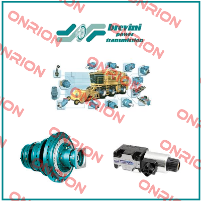 1110-9900-0003 (OEM) Brevini