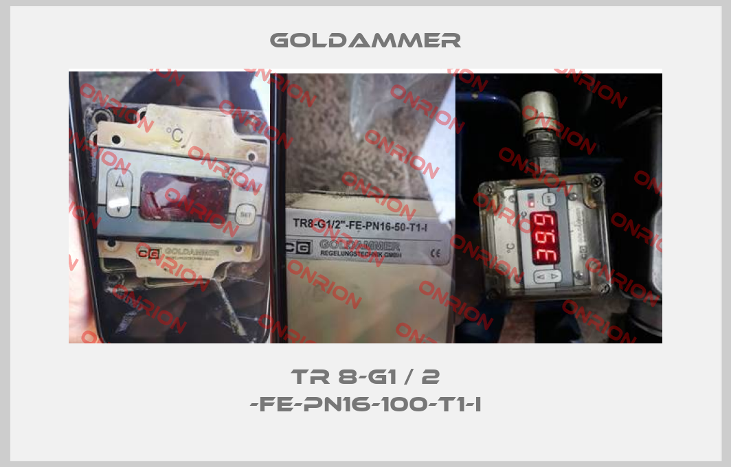 TR 8-G1 / 2 -FE-PN16-100-T1-I-big